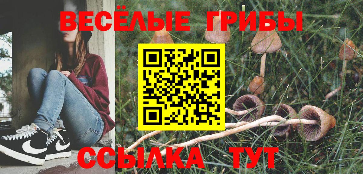 Нефтеюганск  Галлюциногенные грибы Magic Shrooms  Вход с VPN 